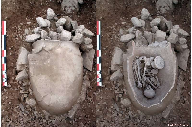 How Intensive Crop and Livestock Management Boosted La Bastidas  Economic Growth