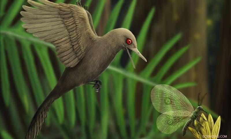 New Bird‑Like Mesozoic Dinosaur, Oculudentavis khaungraae, Identified as Smallest Known Species
