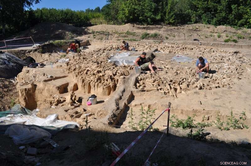 Ancient Mammoth Bone Circles Reveal Secrets of Ice Age Survival