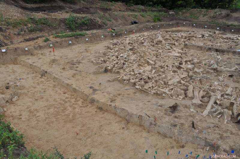 Ancient Mammoth Bone Circles Reveal Secrets of Ice Age Survival