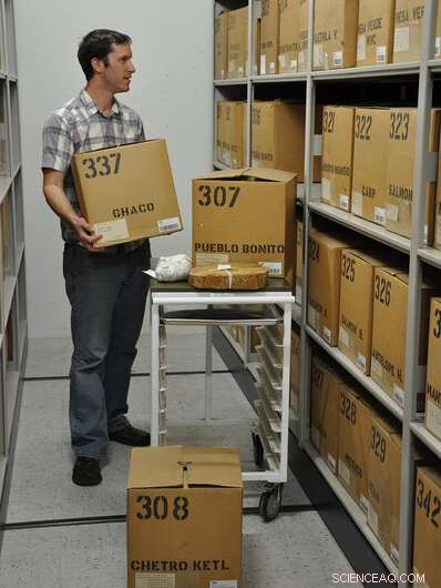 Unveiling the Legacy of America’s Legendary  Tree of Life  – New Research Illuminates Its True Origins