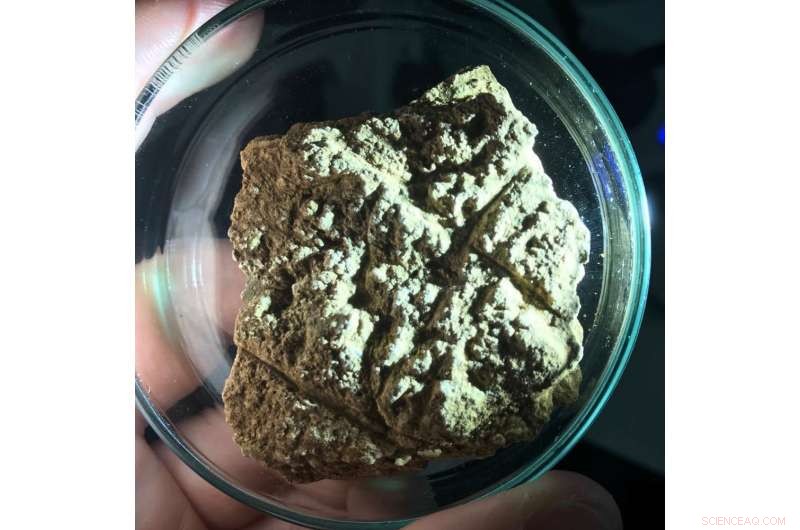 Indonesia s Earliest Miniature Ice Age Art Reveals Humanity s Ancient Aesthetic Drive