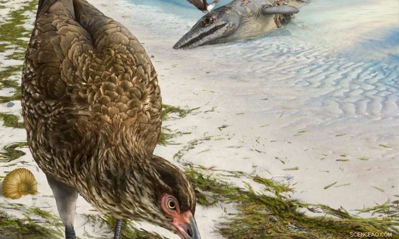 New Wonderchicken Fossil Illuminates Modern Bird Origins