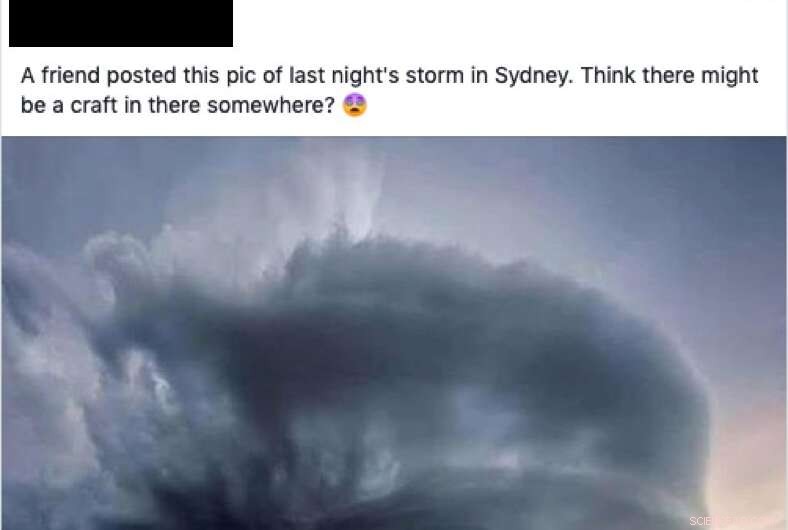 How Users Investigate—or Overlook—Fake News on Twitter and Facebook