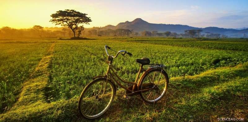 Enhancing Cycling Access Yields Significant Benefits for Women in Marginalized Neighborhoods