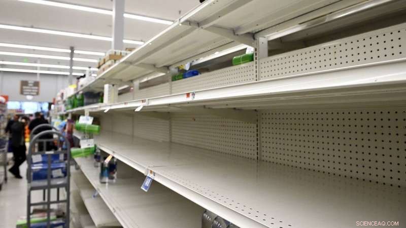 How Panic Buying Skews Safety: A Social Psychology Perspective on Crisis Behavior