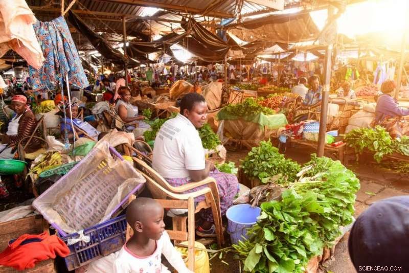 Impact of COVID‑19 on Kenya’s Informal Workers: Key Insights & Potential Solutions