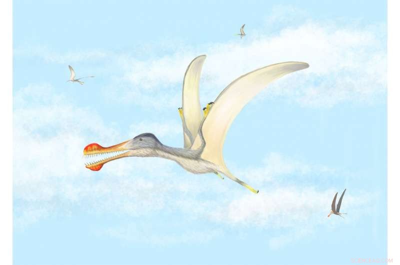Three New Pterosaur Species Uncovered in the Sahara Reveal 100‑Million‑Year‑Old Flight