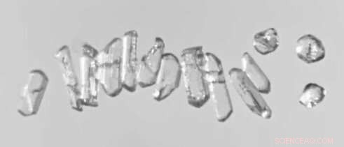 Land Die-Offs Preceded Ocean Turnover in Earth s Largest Mass Extinction