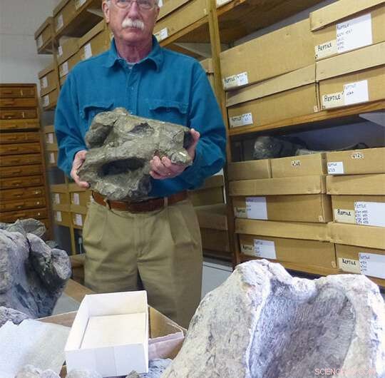 Land Die-Offs Preceded Ocean Turnover in Earth s Largest Mass Extinction