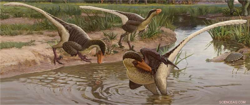 Newly Discovered Feathered Dinosaur Reveals One of the Last Raptor Species