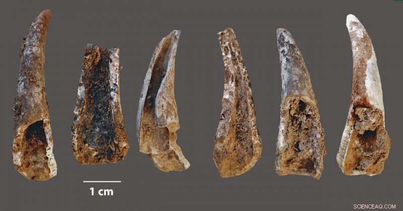 New Study Shows Neanderthals as Early Masters of Marine Resource Use