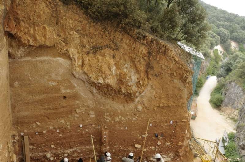 800,000-Year-Old DNA Illuminates Human Ancestry Debate