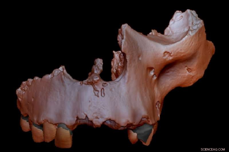 800,000-Year-Old DNA Illuminates Human Ancestry Debate