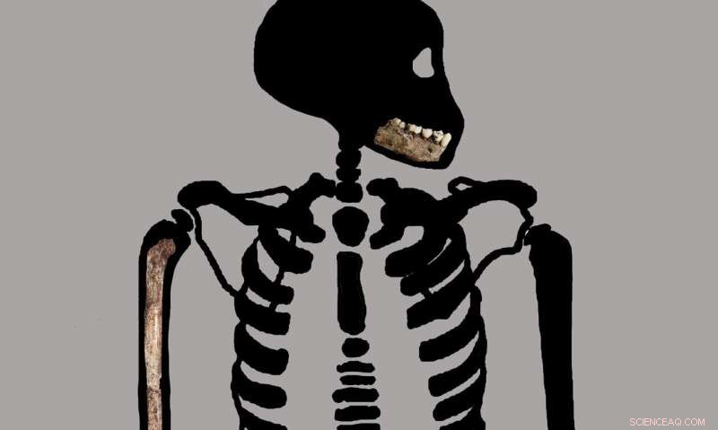 Homo naledi Juvenile Skeleton Reveals Key Insights into Human Ancestry Development