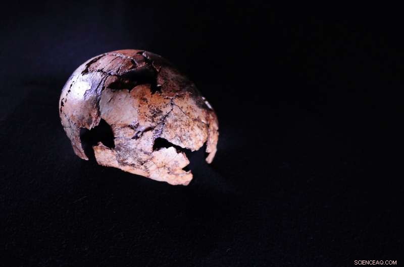 New Homo erectus Fossil Pushes Origin Back 150,000–200,000 Years
