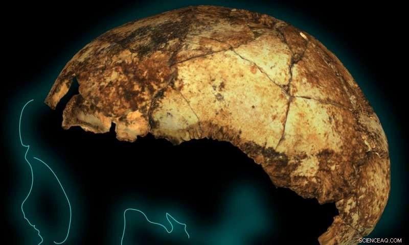 New Homo erectus Fossil Pushes Origin Back 150,000–200,000 Years