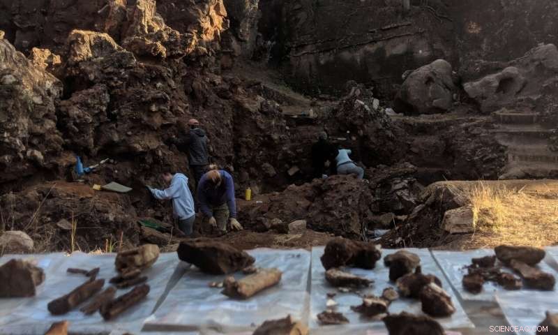 New Homo erectus Fossil Pushes Origin Back 150,000–200,000 Years