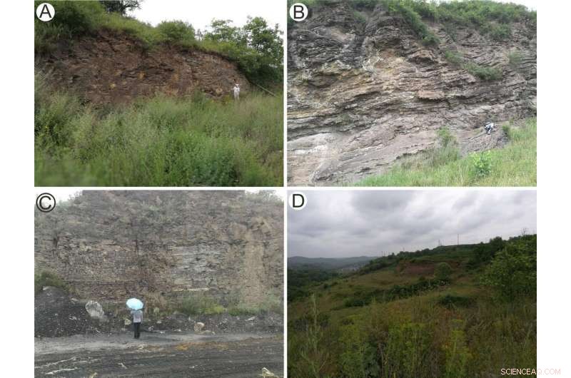Lacustrine Ecosystems Recovered Over 10 Million Years After the End‑Permian Mass Extinction