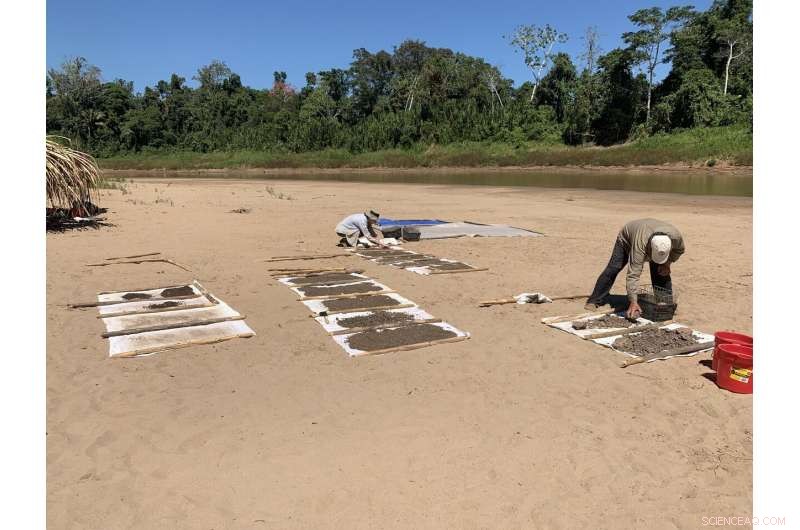 New Peruvian Fossil Teeth Reveal Ancient Monkeys Migrated Across Atlantic from Africa