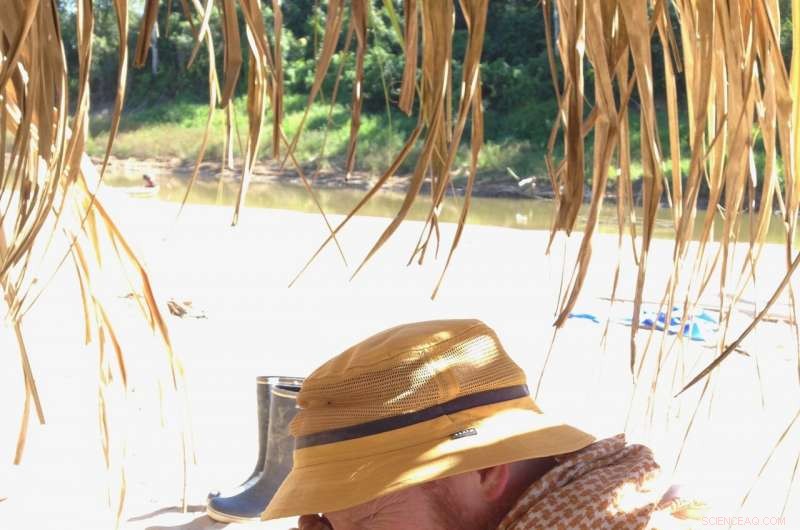 New Peruvian Fossil Teeth Reveal Ancient Monkeys Migrated Across Atlantic from Africa