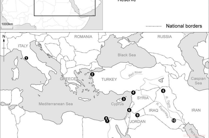 Decoding 5,000-Year-Old Ostrich Egg Trade: Experts Unveil Ancient Market Complexity