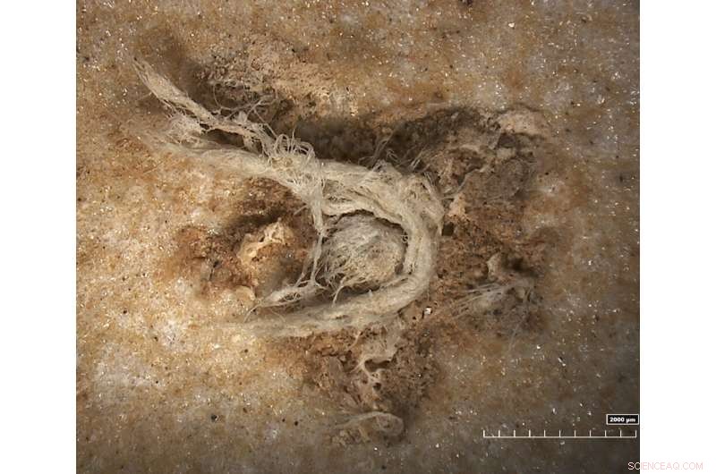 Neanderthal Discovery: First Evidence of Ancient String-Making