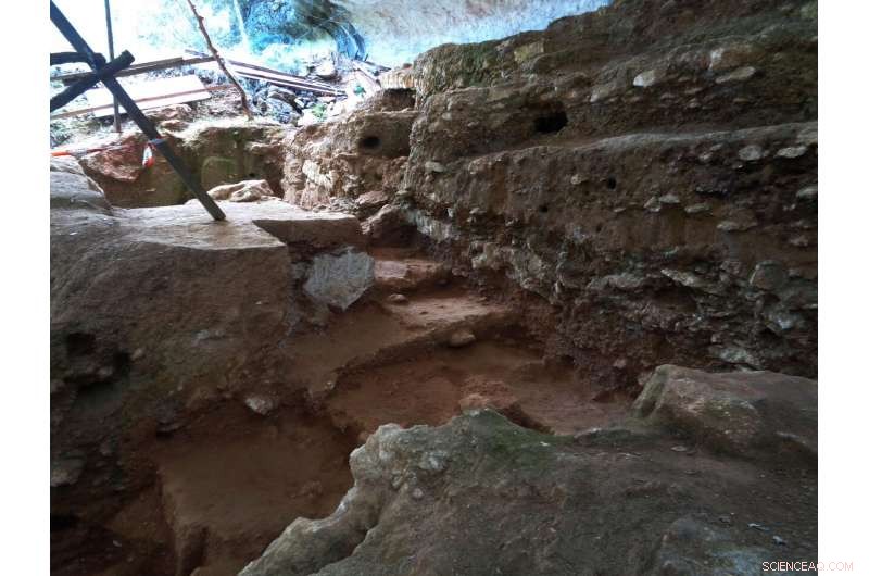 Neanderthal Discovery: First Evidence of Ancient String-Making