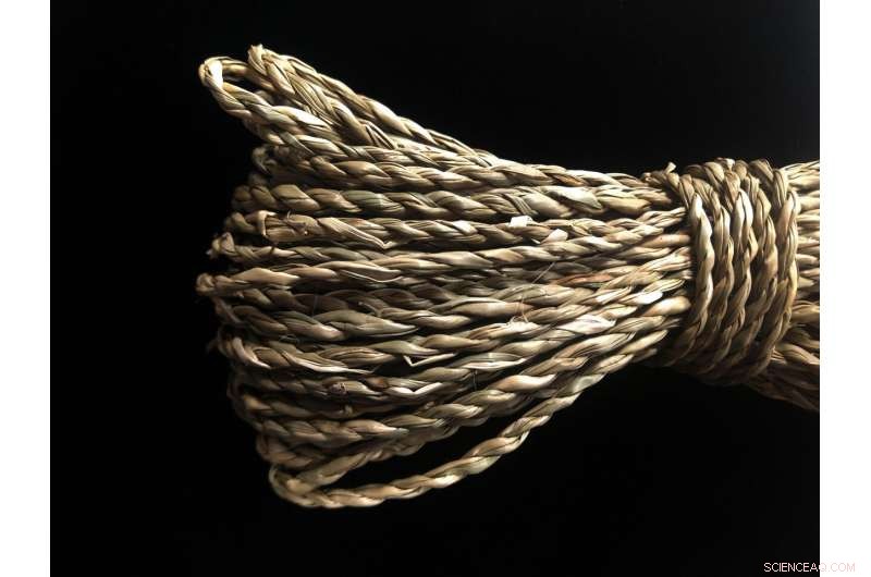 Neanderthal Discovery: First Evidence of Ancient String-Making