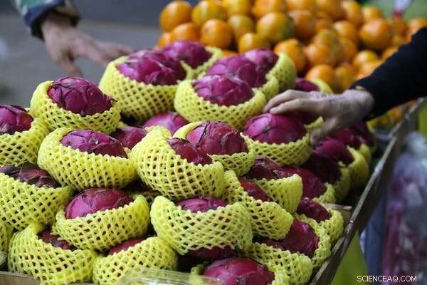 How China Stopped Hunger During Its Record COVID-19 Lockdowns