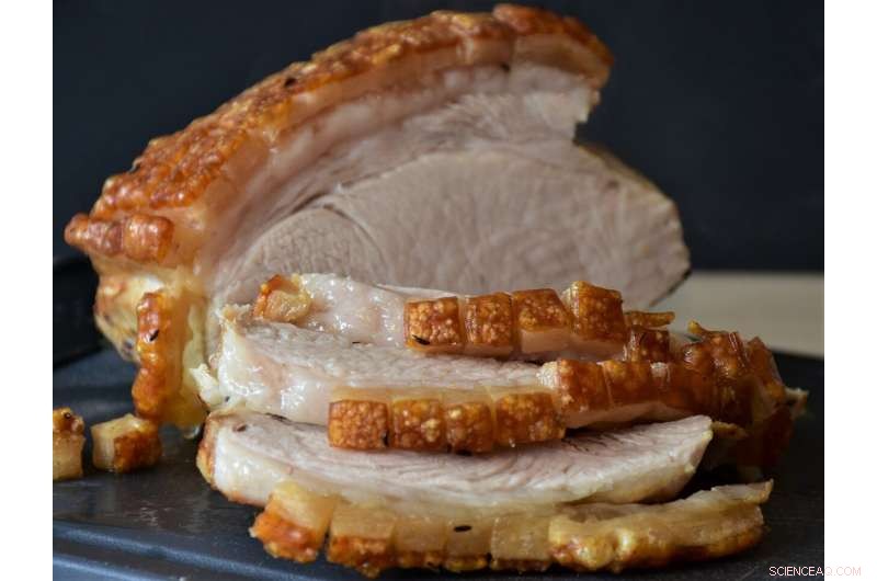 South Dakota Pork Plant Closure Threatens U.S. Meat Supply, Disrupts Supply Chain