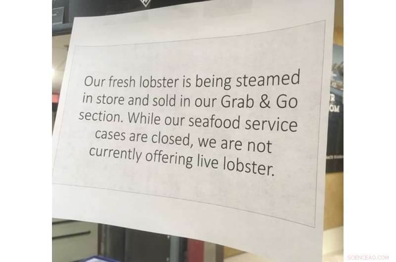 COVID‑19 Threatens Seafood Economy—Community Fisheries Adapt to Stay Afloat