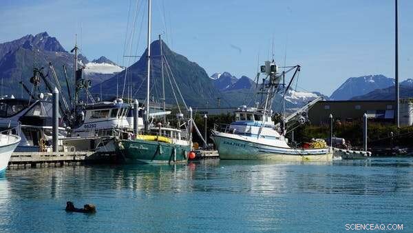 COVID‑19 Threatens Seafood Economy—Community Fisheries Adapt to Stay Afloat