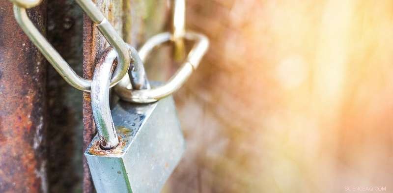 Australia s COVID Response: How Benefit-Cost Analysis Reveals the True Impact of Lockdowns