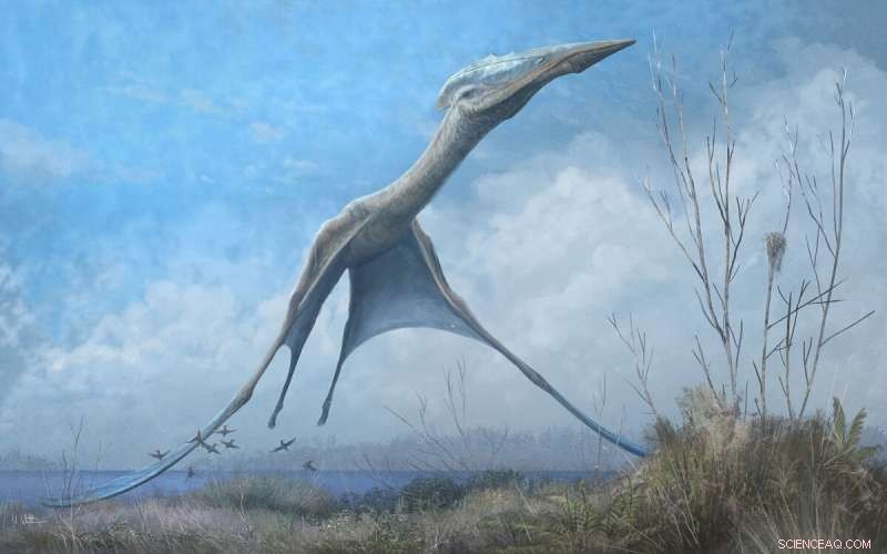 Harnessing Pterosaur Flight Mechanics to Innovate Modern Aircraft Design