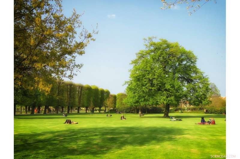 How Crime‑Reduction Policies Unlock Community Value in Public Parks