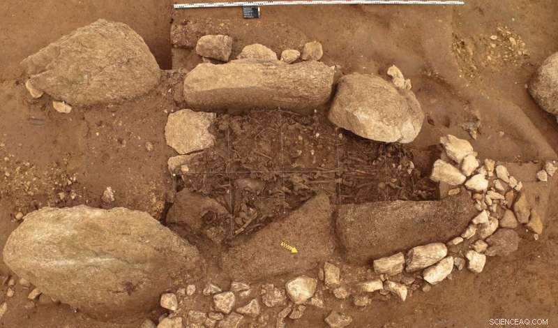 Swiss Neolithic Genomes Reveal Parallel Ancient Societies