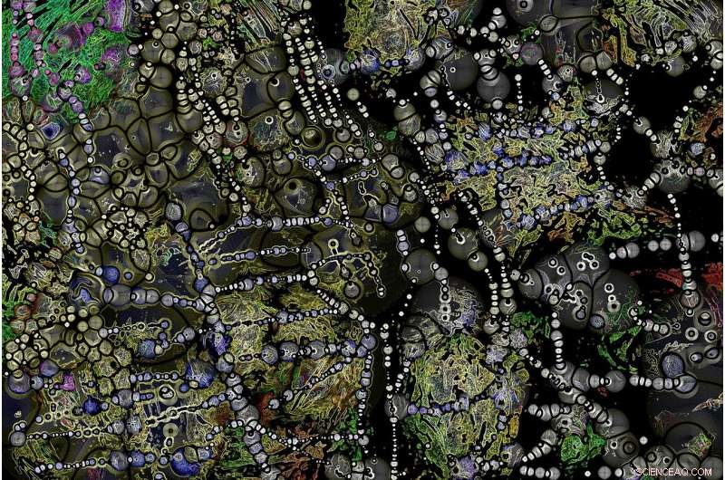 Superbugs Pose a Risk of Triggering the Next Global Financial Crisis