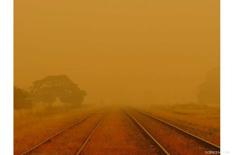 Investigating COVID-19 Impact on Wildlife, Antarctic Research, and Primary Healthcare