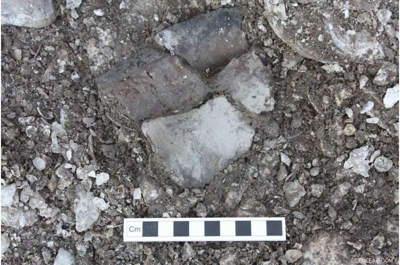 New Research Reveals Distinct Culinary Practices of Baltic Hunter‑Gatherers 7,500–6,000 Years Ago