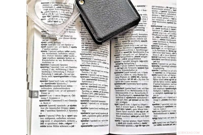 Safeguarding Minority Languages: Strategies to Prevent Extinction