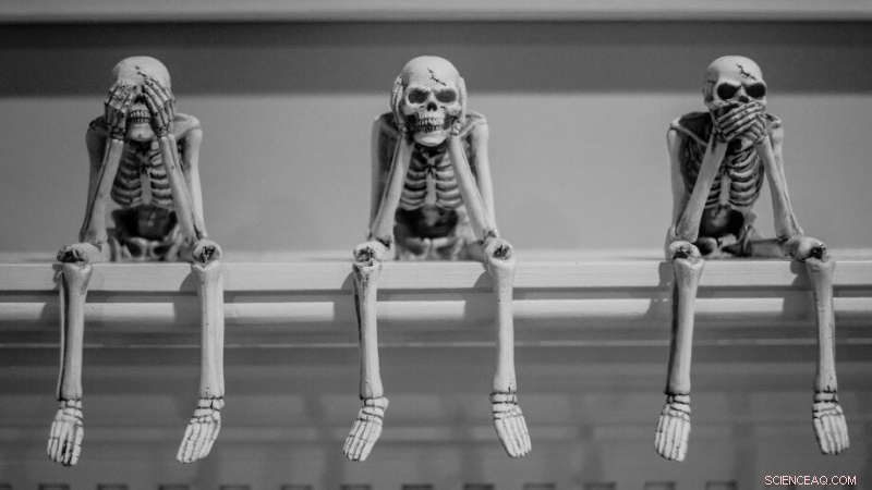 Urgent Call for a Global Survival Strategy Amid Rising Catastrophic Threats