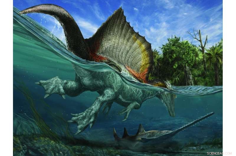 Kem Kem Group, Eastern Morocco: A Jurassic Fossil Treasure