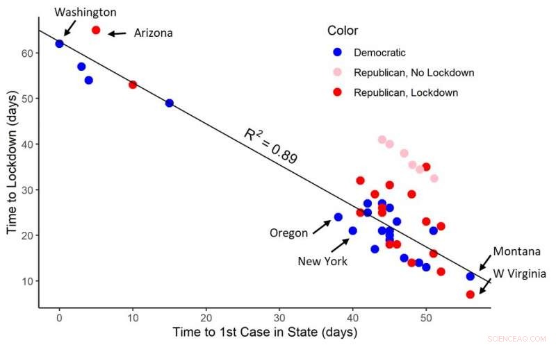 What Drives Governors  Lockdown Decisions? Social Learning, Info Cascades, and Political Affiliation Explained
