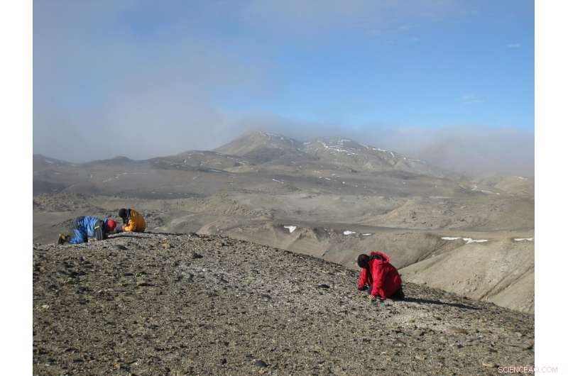 Fossil Frogs Reveal Clues About Antarctica s Ancient Climate