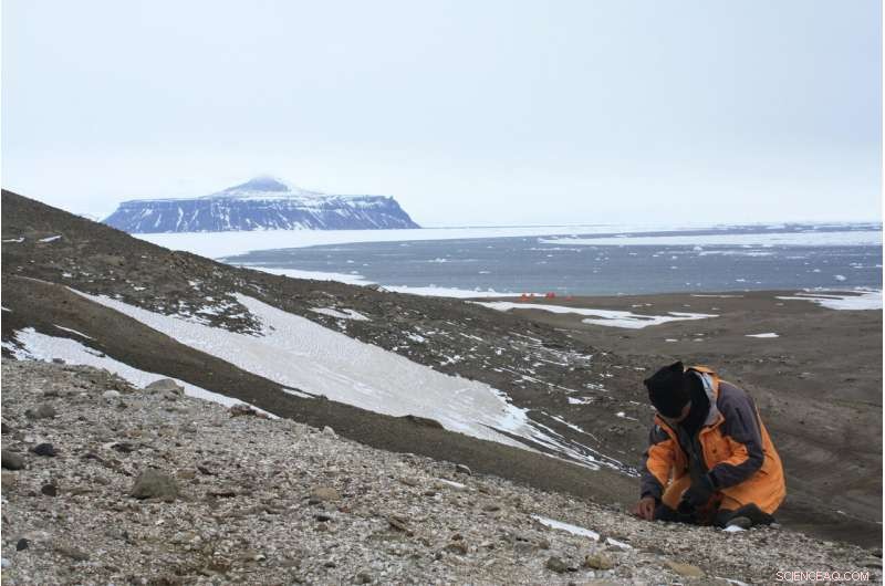 Fossil Frogs Reveal Clues About Antarctica s Ancient Climate
