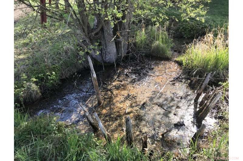 Levänluhta: How Diverse Livelihoods Fostered Community Resilience Through a Climate Disaster