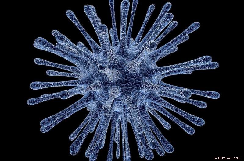 Conservative and Social Media Use Linked to Higher COVID-19 Misinformation Rates