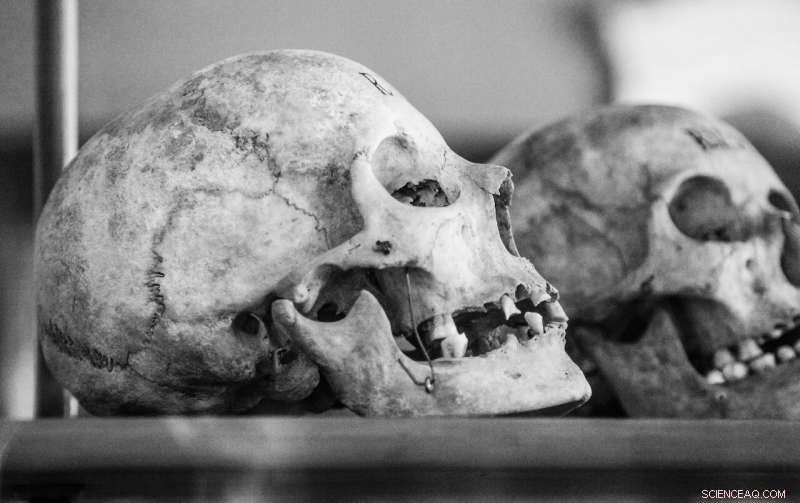 Exploring Human Diversity During the Middle Pleistocene