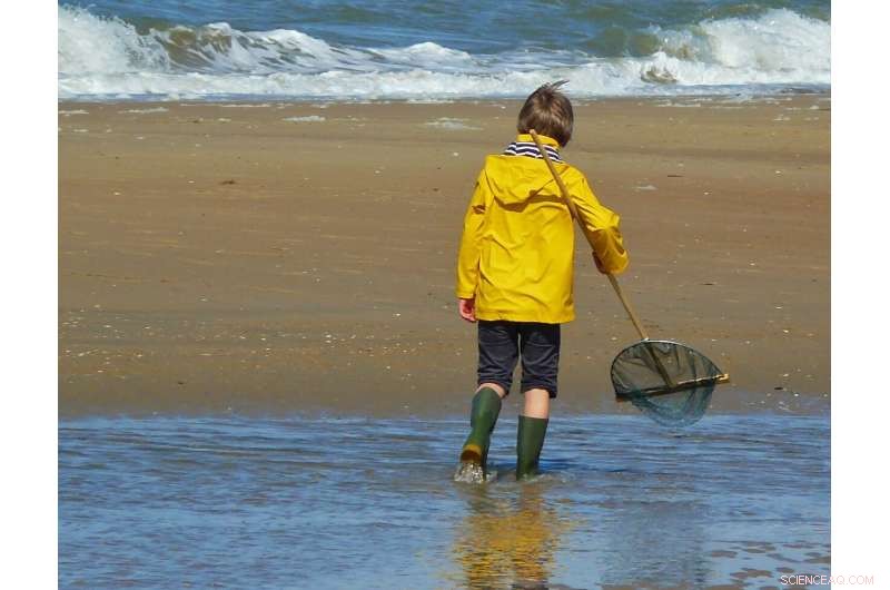 Study Shows COVID-19 Lockdowns Severely Impact Coastal Communities Economically